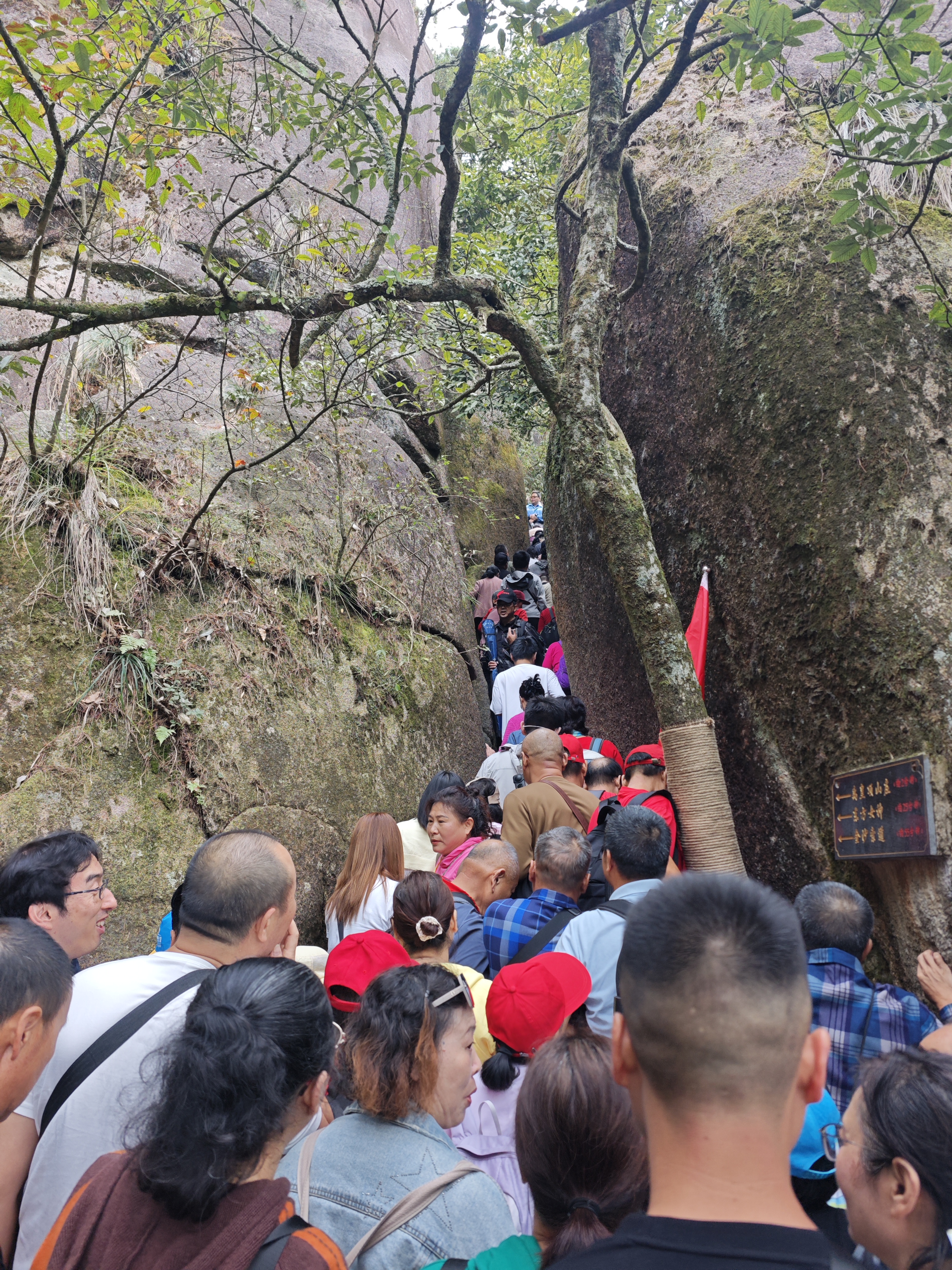 684765684becf77bc2b1eb1e780a3aa4