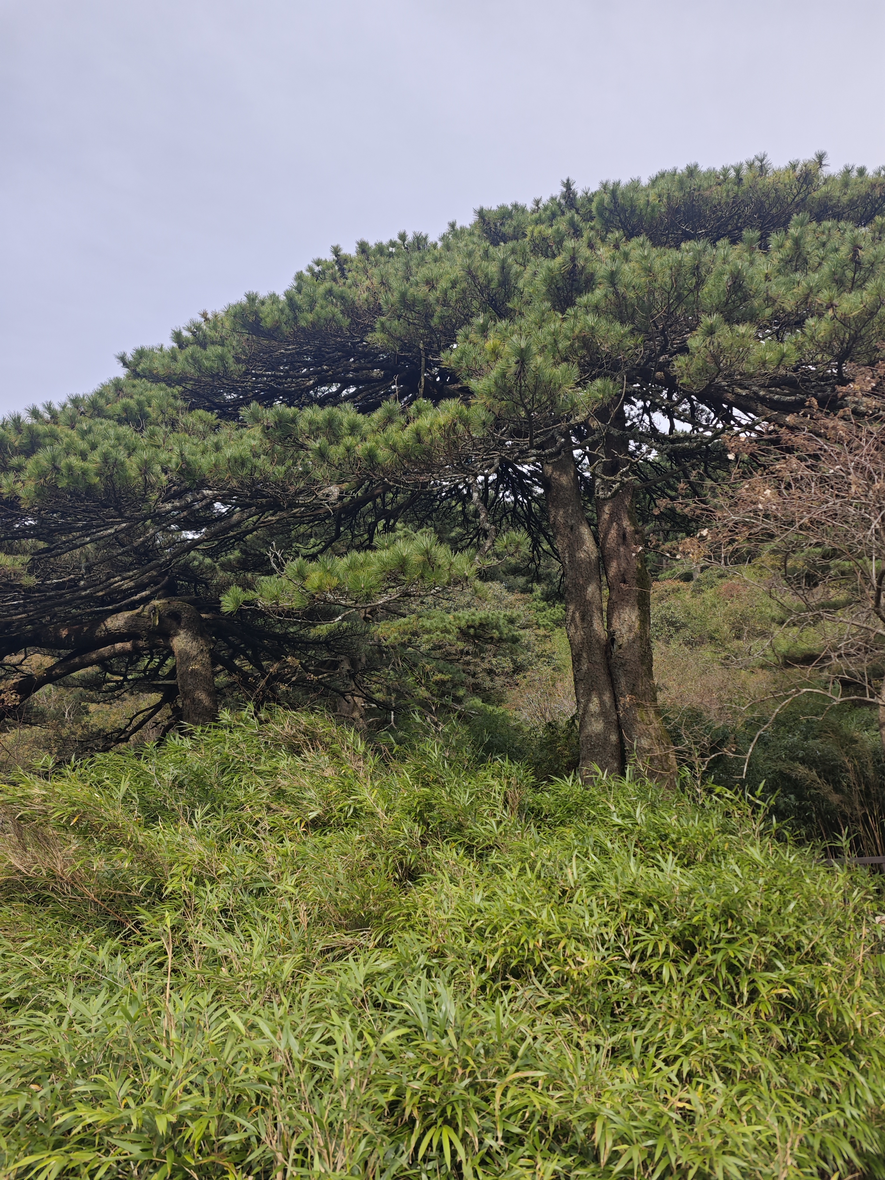 a284f3a26e008db21eb429e7bd4018d0