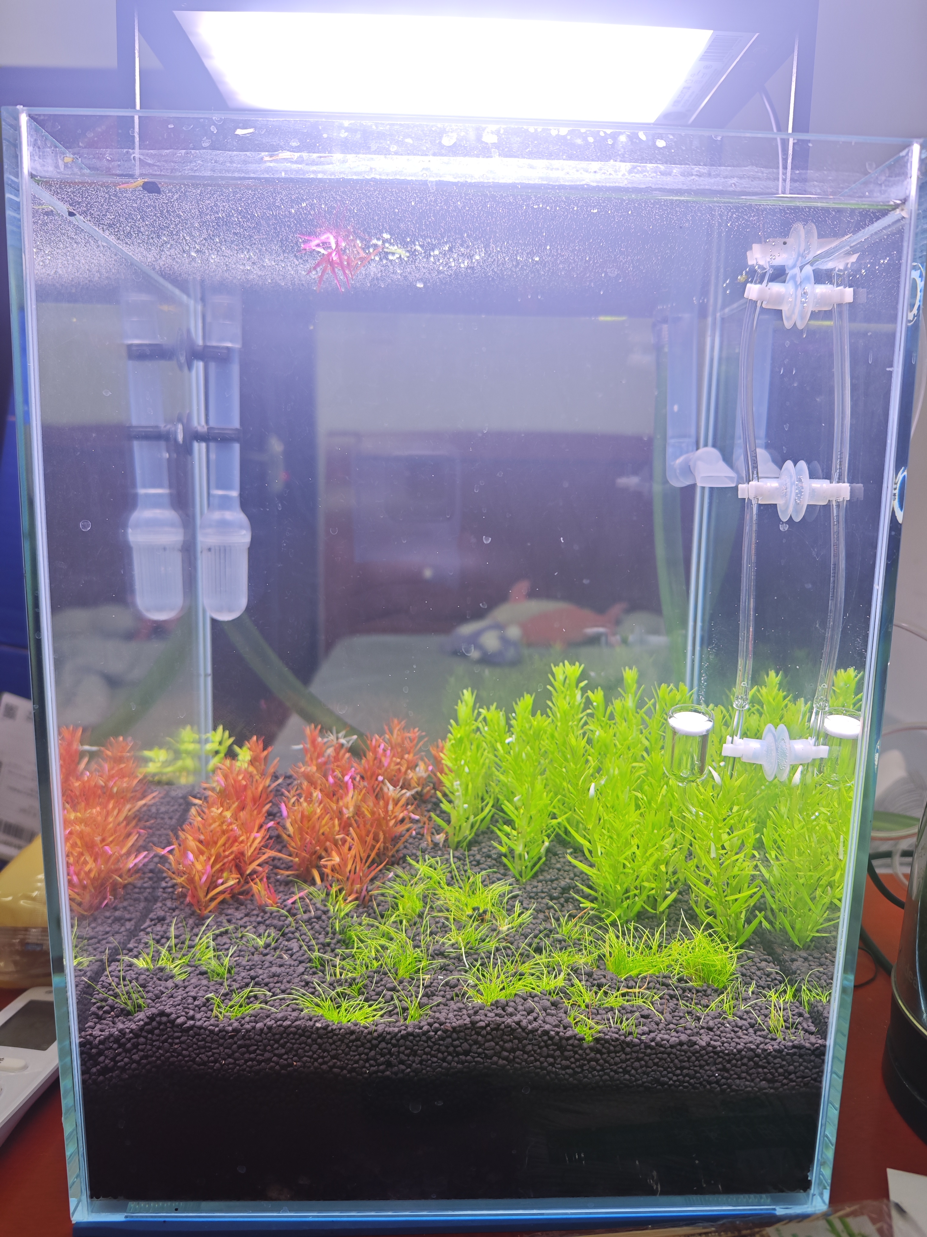 a4b1b95910c90a96eaf093946ba1c98