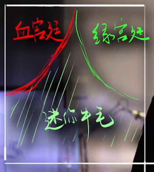 image-20240718220237466