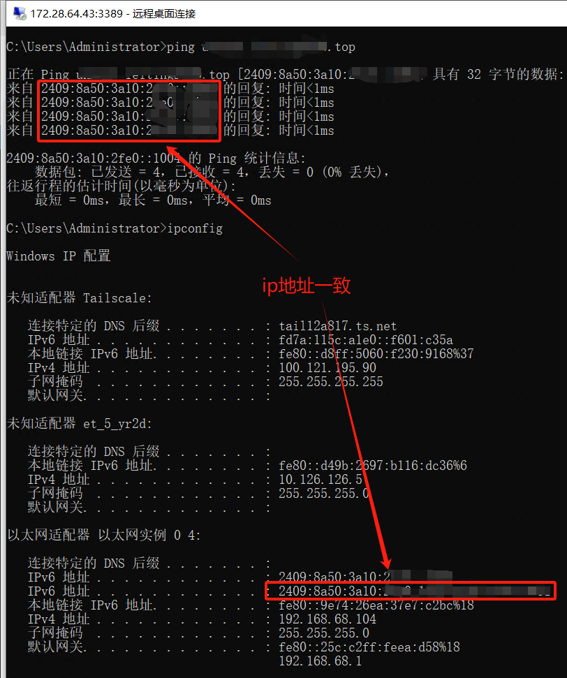 ping6 验证 DDNS 结果