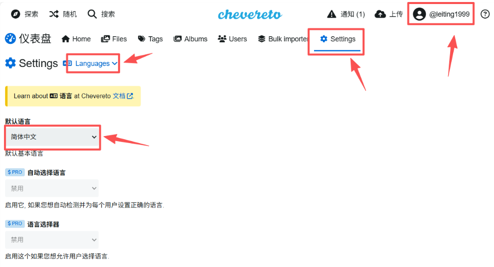 image-20251114203555475