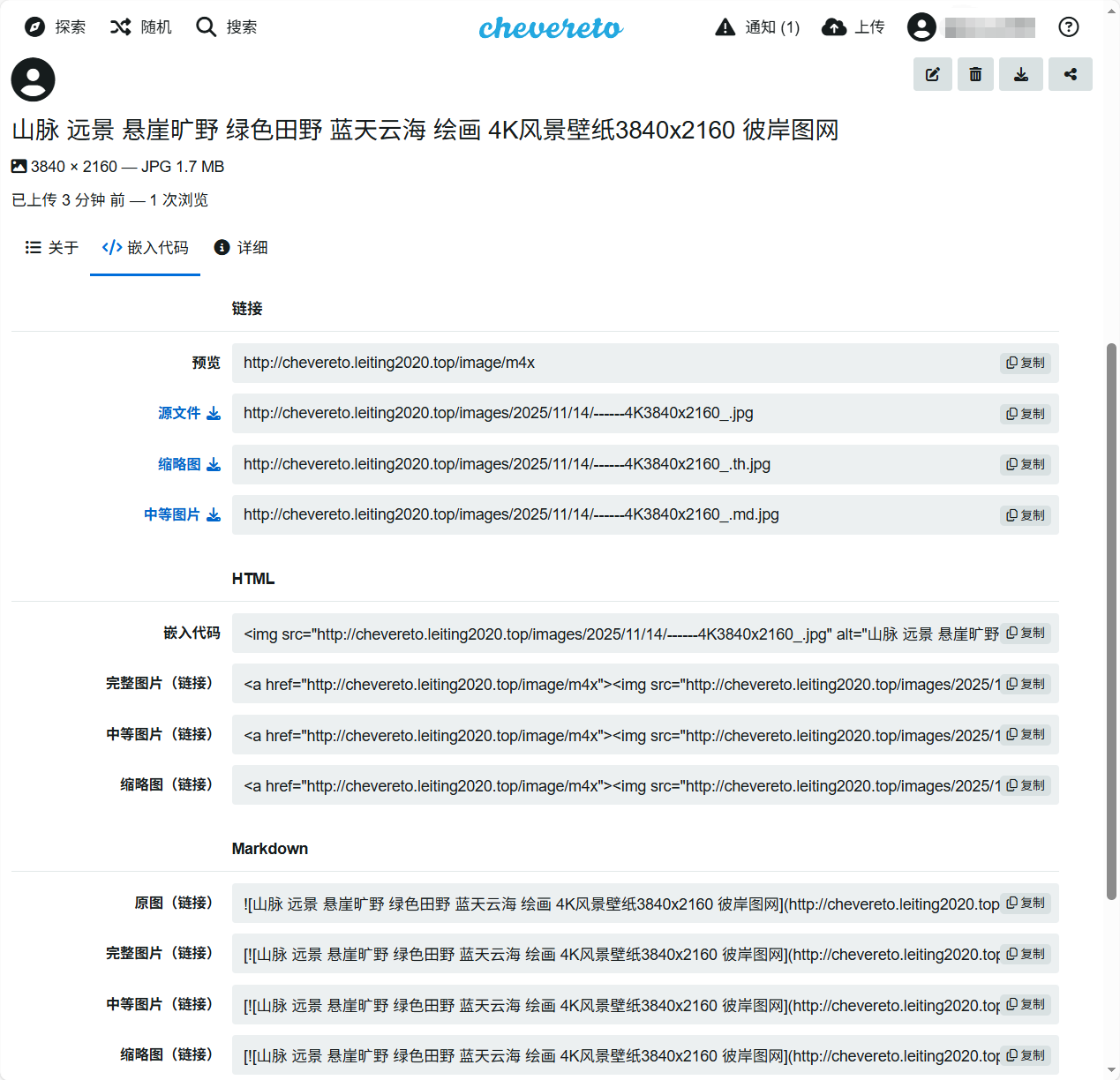 image-20251114205144849