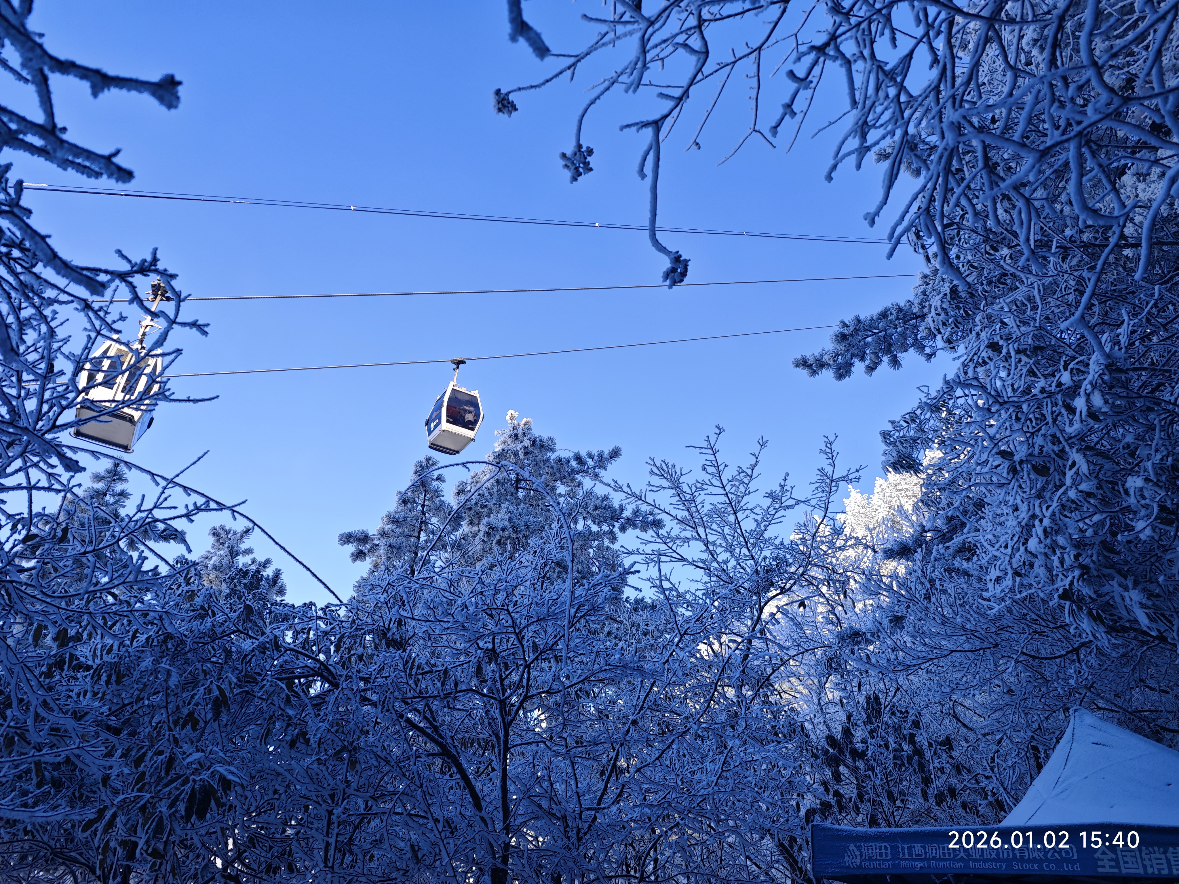 mmexport1767424260552