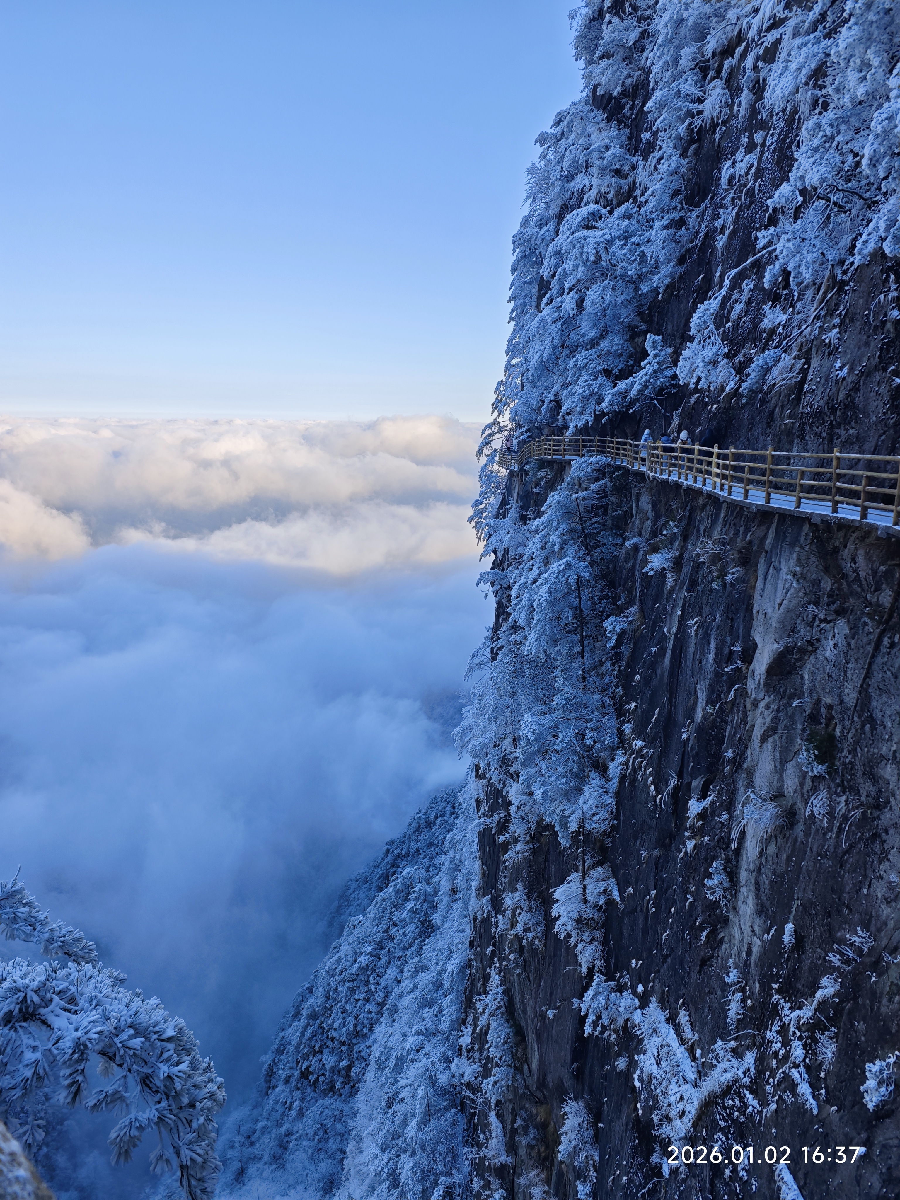 mmexport1767424332608